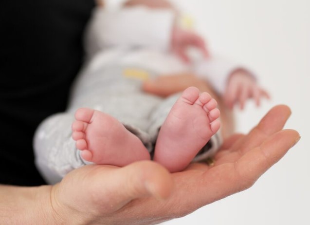 Kostot e larta, “zhvendosin” dhe lindjet nga Tirana, bien 5.5% në janar-qershor, rriten qarqet